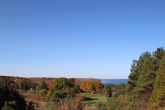 335 Crooked Tree Dr Unit Lot 40, Petoskey, MI 49770