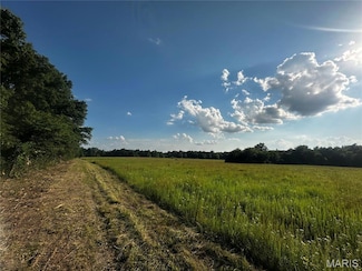 TRACT 2C Audrain Road 935, Salt River Township, MO 65265