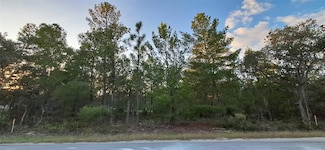 0 Fisher Course Unit 9, Ocklawaha, FL 32179