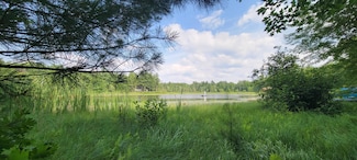 6464 S Weekend Ln, Pleasant Plains Township, MI 49304