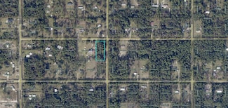 4405 Gladys St, Flagler Estates, FL 32145