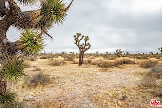 1 70th St E Near Avenue Q10, Palmdale, CA 93552
