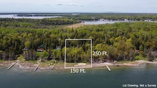 800 S Big Lasalle Island Unit 800, Cedarville, MI 49719