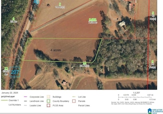 4263 Plantersville Rd Unit land 4 acres, Alpine, AL 35014