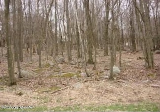 51 Birch Dr, Blakeslee, PA 18610