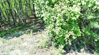 0 Georgia 157 Unit 7656573, Menlo, GA 30731