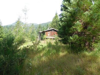 144 Abby Rd, Randle, WA 98377
