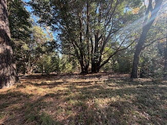 17686 S Mace Dr, Pioneer, CA 95666