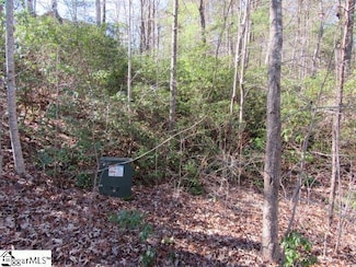 103 Rock Ridge, Pickens, SC 29671