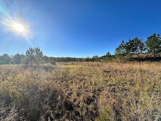 TBD-A Cr 251 (Lafayette Springs Rd ), Oxford, MS 38655