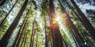 00 Miles, Powhatan, VA 23139