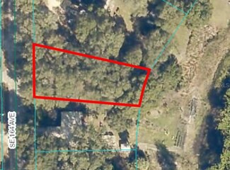TBD SE 164 Ave, Ocklawaha, FL 32179