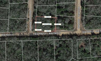 Lot 13 Robinhood, Hilltop Lakes, TX 77871