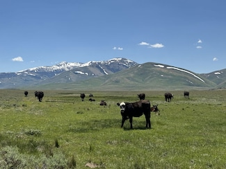 0 Wildhorse Ranch Unit 3623940, Mountain City, NV 89831