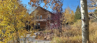 62 Sauterne Ln, Silverthorne, CO 80498