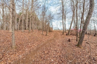 TBD Lot E5 Spangler Mill Rd NE, Floyd, VA 24091