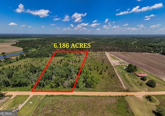 LOT #3 - 6.2+/- Perry Horton Rd, Adrian, GA 31002