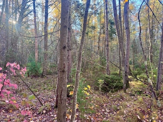 11469 Dale Ct, Minocqua, WI 54548