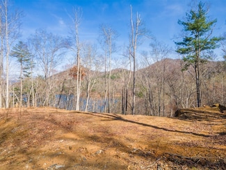 156 Mandolin Ct, Tuckasegee, NC 28783