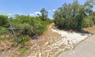 1027 Freehill Ave, Lake Placid, FL 33852