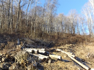 00 Kims Cove Rd, Canton, NC 28716