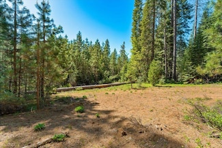 2900 Squaw Valley Rd, McCloud, CA 96067