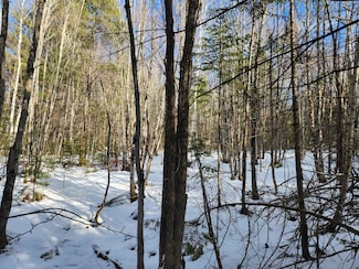 4-6-1 Map 010 Lot 4-6-1 Hebron Rd, Buckfield, ME 04220