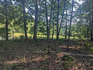 0 Old Richmond Rd, Keeling, VA 24566