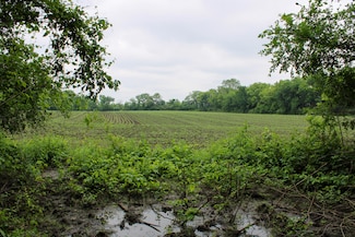 000 NW 375th Rd, Centerview, MO 64019