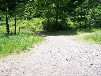 000 Crummies Creek, Arnoldsburg, WV 25234
