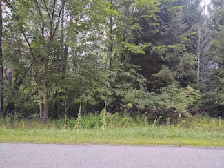 0 E Beamish Unit 50118982, Midland, MI 48642