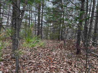 6550 W Sharon Rd SW, Fife Lake, MI 49633