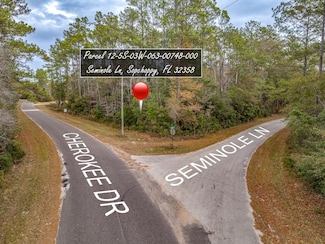 81 Cherokee Dr, Sopchoppy, FL 32358