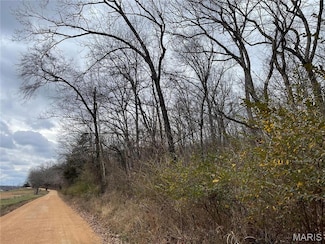 0 County Road 160 E-4, Doniphan, MO 63935