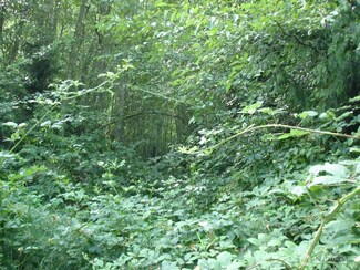 38947 Sherlind Rd NE, Hansville, WA 98340