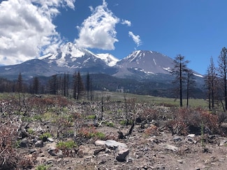 440 Acres N Slope of Mount Shasta, Weed, CA 96094