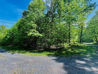 LOT 46 Paradise Rd, Todd Township, PA 16657