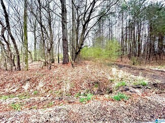 1 Kelly Creek Rd Unit 1 & 2, Moody, AL 35004