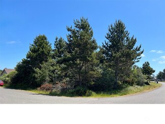 198 N Razor Clam Dr SW, Ocean Shores, WA 98569