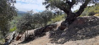 0 Mile Hi Unit ND21123787, Julian, CA 92036