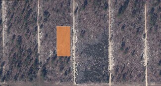 11-10-23-1600-0060-0 Iowa Ave, Hawthorne, FL 32640