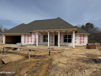110 Trace Pointe Place, Clinton, MS 39056