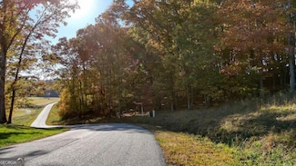 LOT 161 Old Owen Dr Unit 161, Blairsville, GA 30512