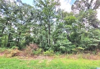 000 Bryan St Unit 13, Talladega, AL 35160