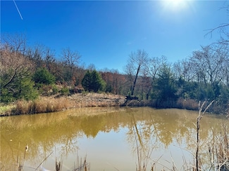 TBD Madison 7670, Hindsville, AR 72738