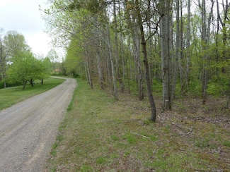 TBD Pinnacle Point Ln, Meadows of Dan, VA 24120