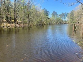 0 Locust Rd Unit 19967321, Locust Grove, GA 30248