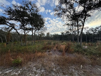 8186 Gidding Ln, Webster, FL 33597