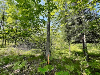 0 Kafka Rd, Wausaukee, WI 54177