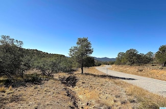 3 Lots N Swan St Unit LOTS 72, 73, 74, Silver City, NM 88061